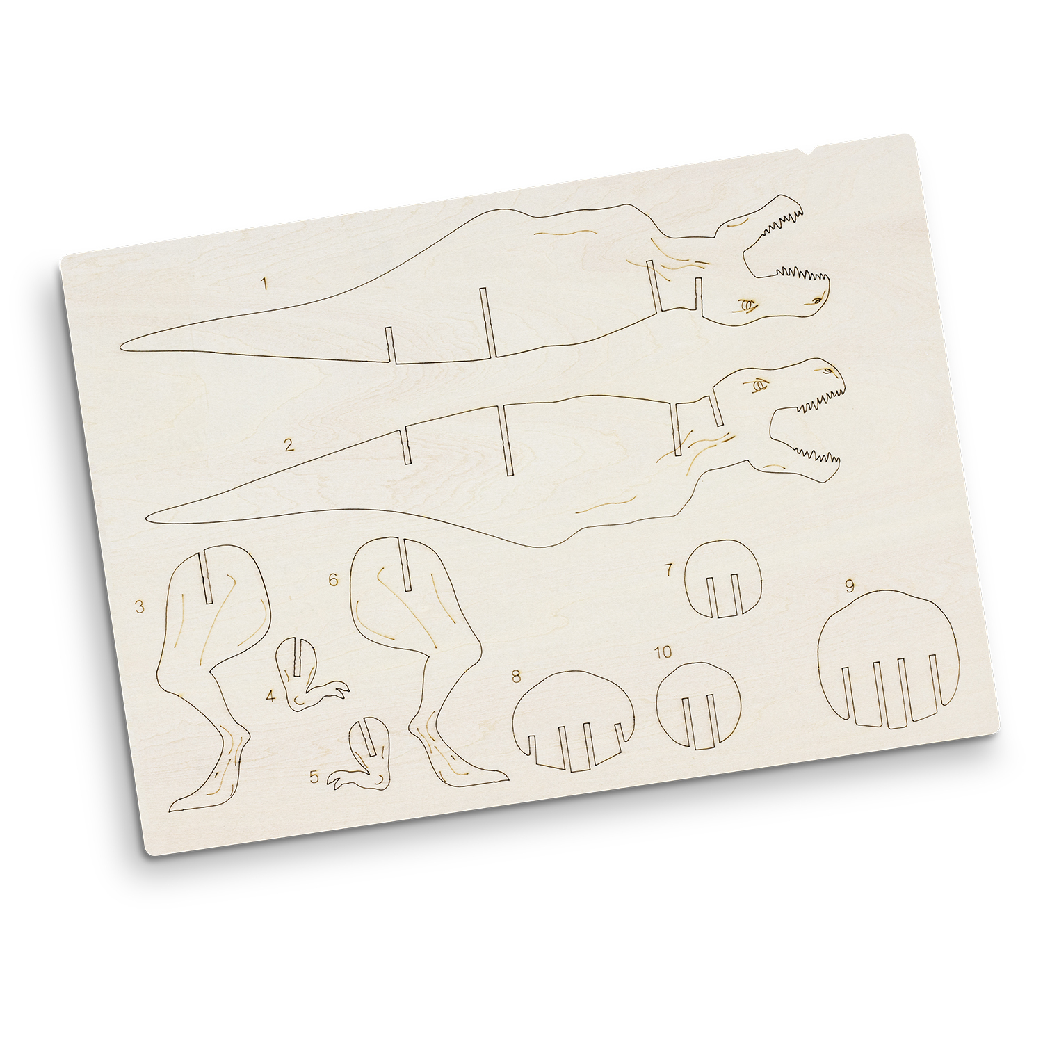 BRANDCRAFT Tyrannosaurus Rex Wooden Model – Image 4