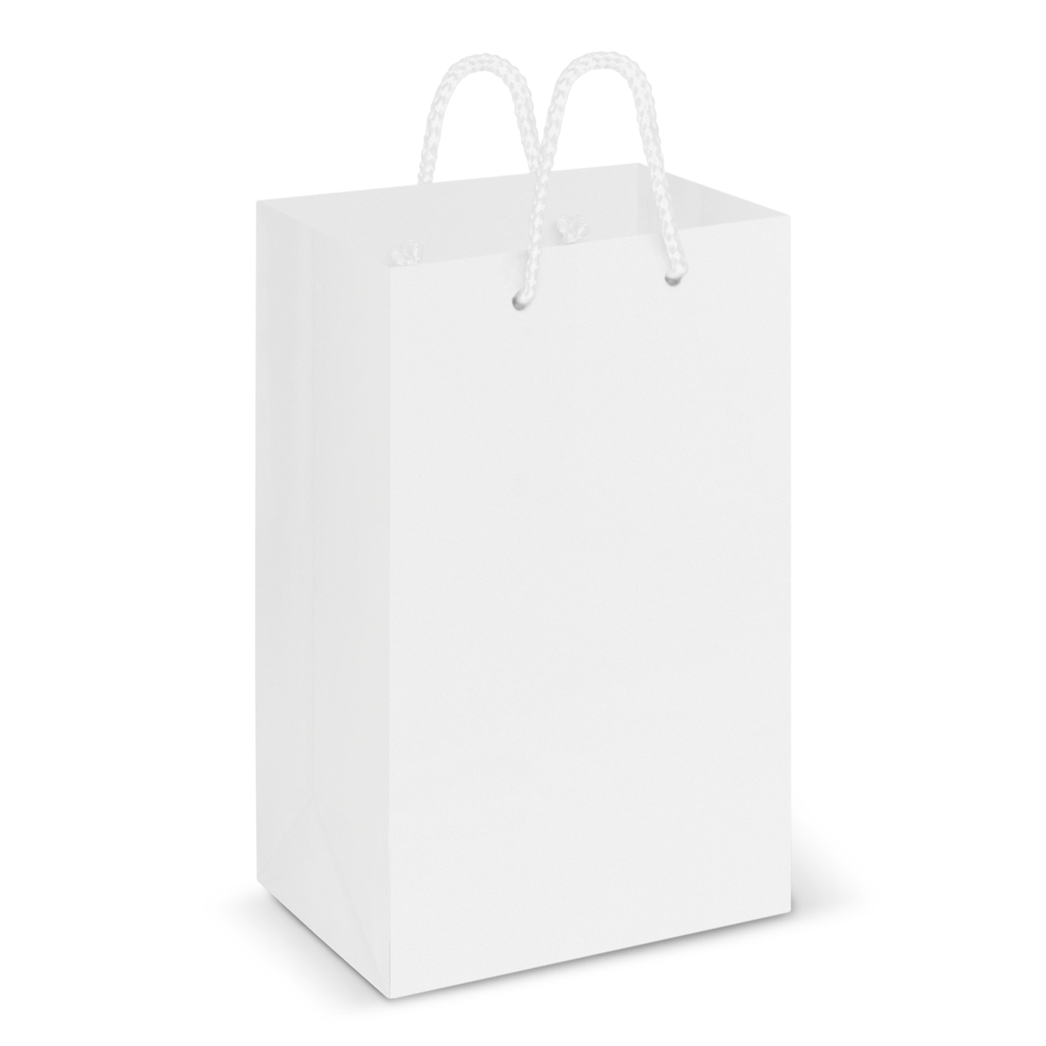 Laminated Carry Bag - Small – Image 2