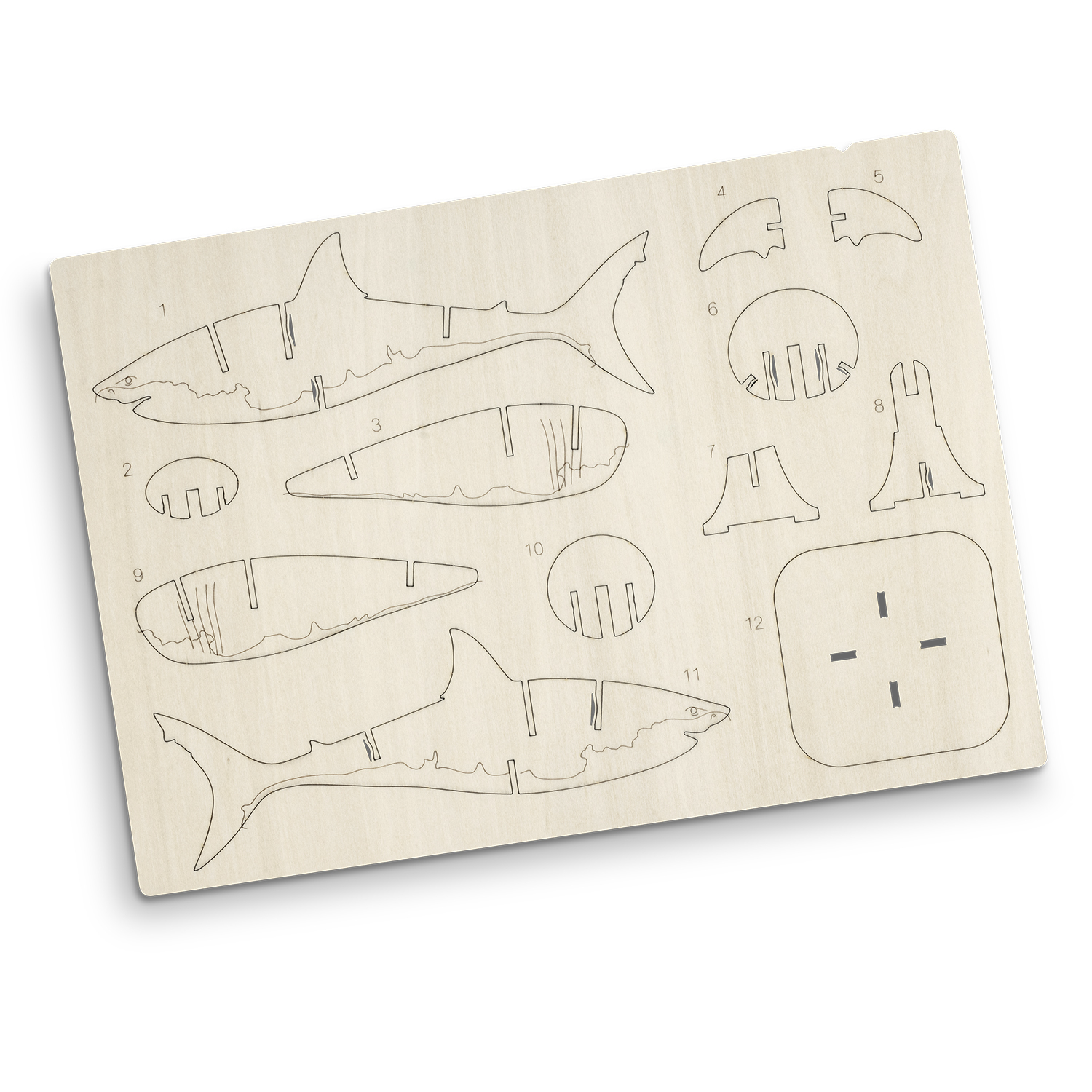 BRANDCRAFT Shark Wooden Model – Image 4