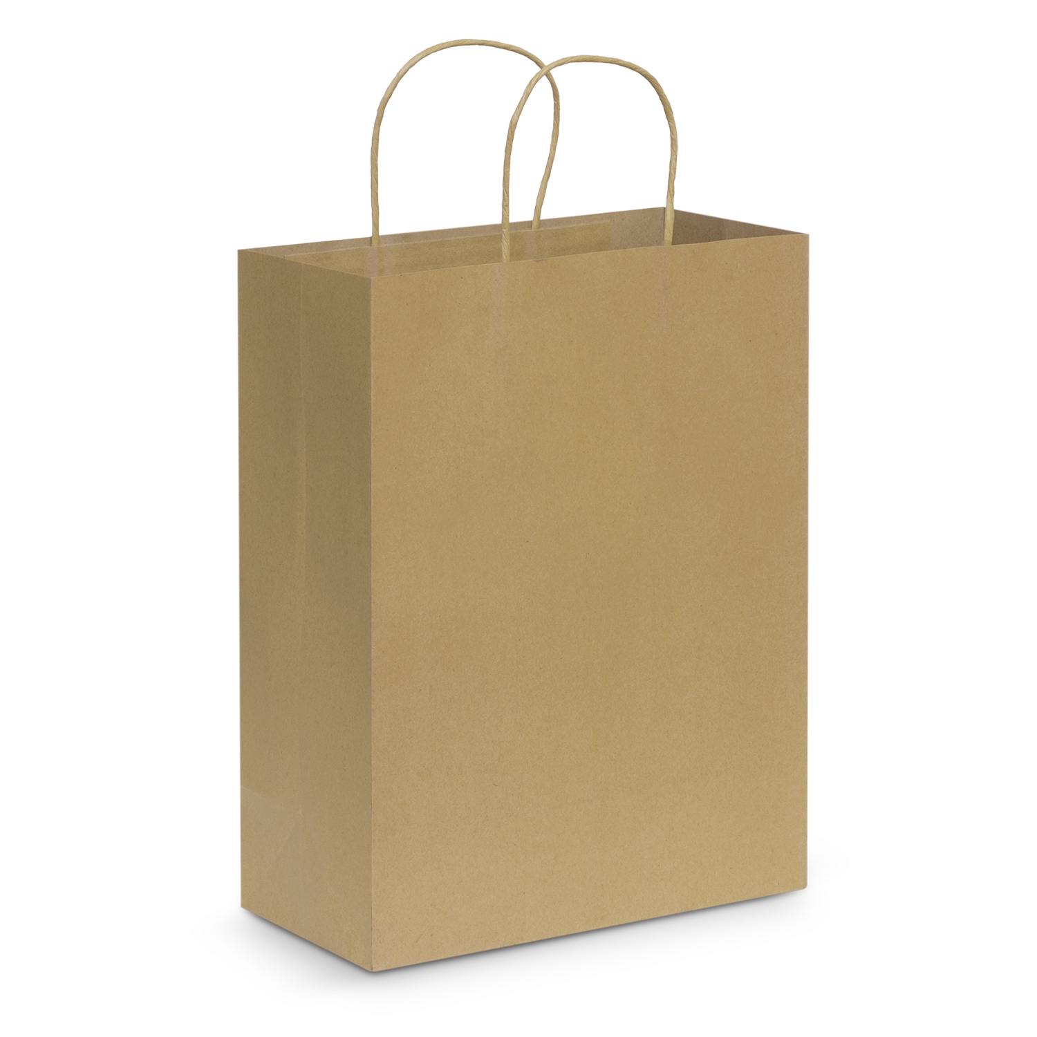 Paper Carry Bag - Large – Image 3