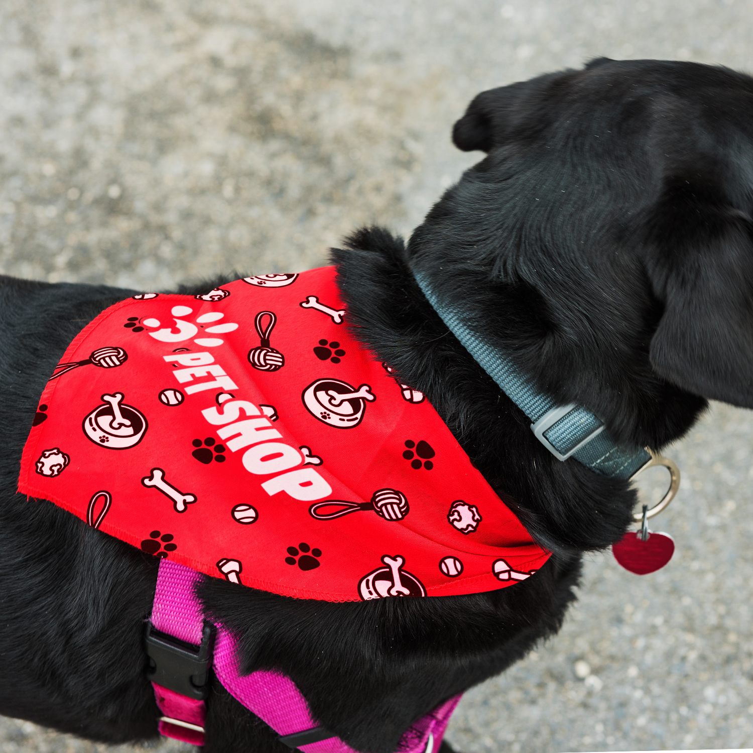 Pet Bandana - Large – Image 2