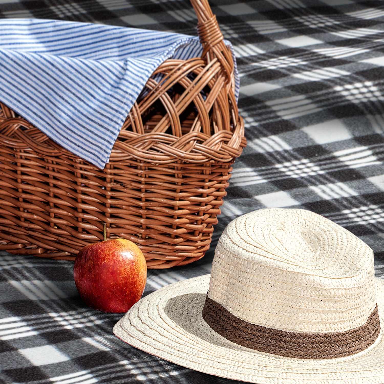 Dakota Picnic Blanket – Image 3