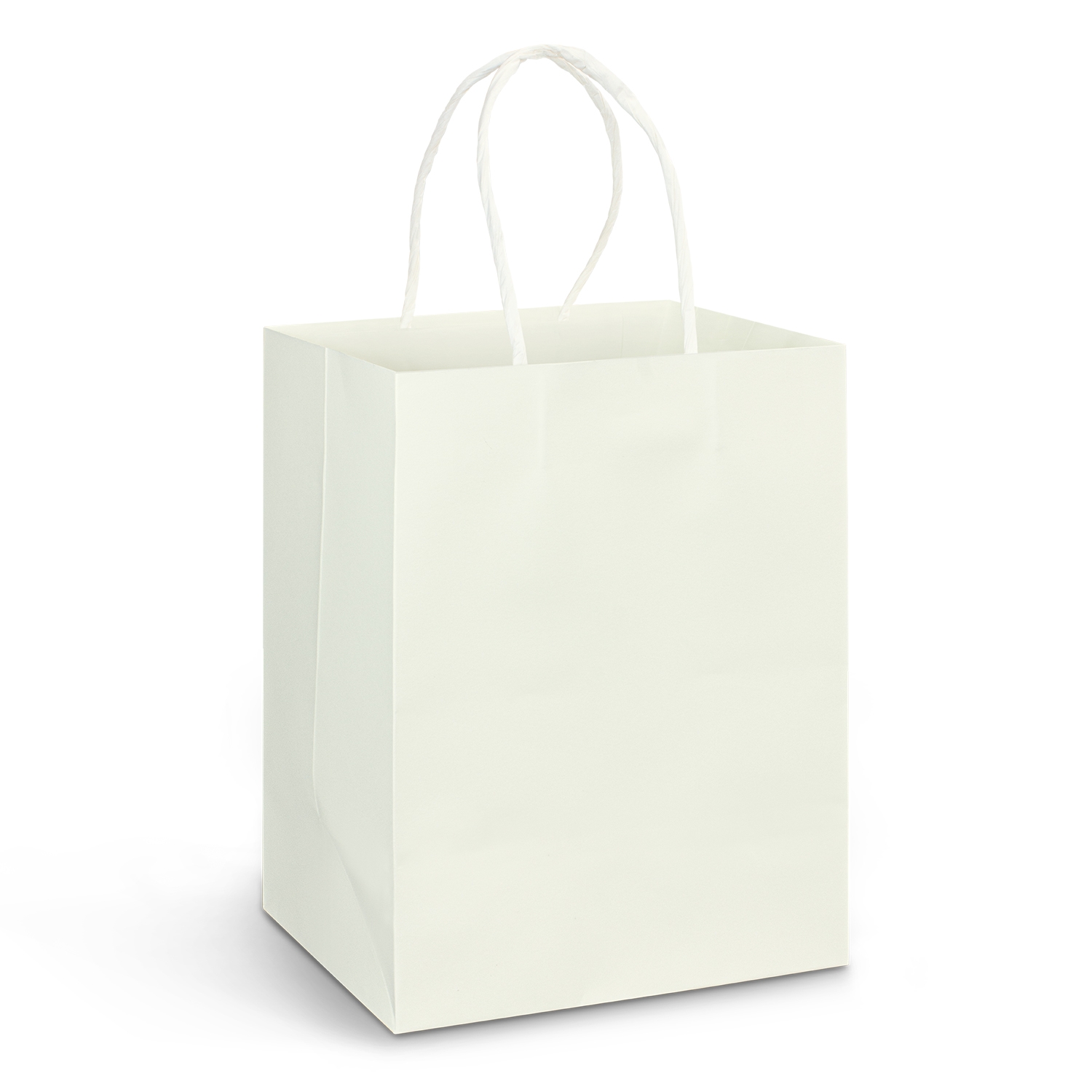 Large Paper Carry Bag - Full Colour – Image 2