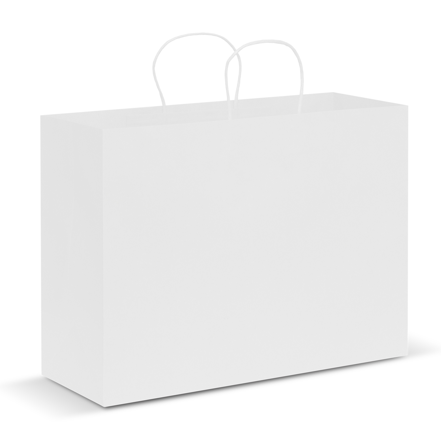 Paper Carry Bag - Extra Large – Image 4