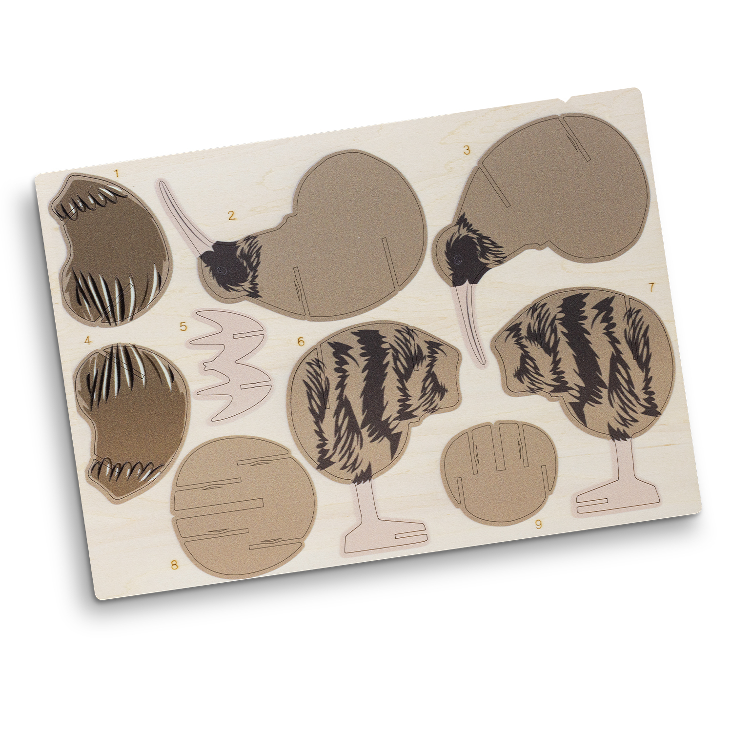 BRANDCRAFT Kiwi Wooden Model – Image 6