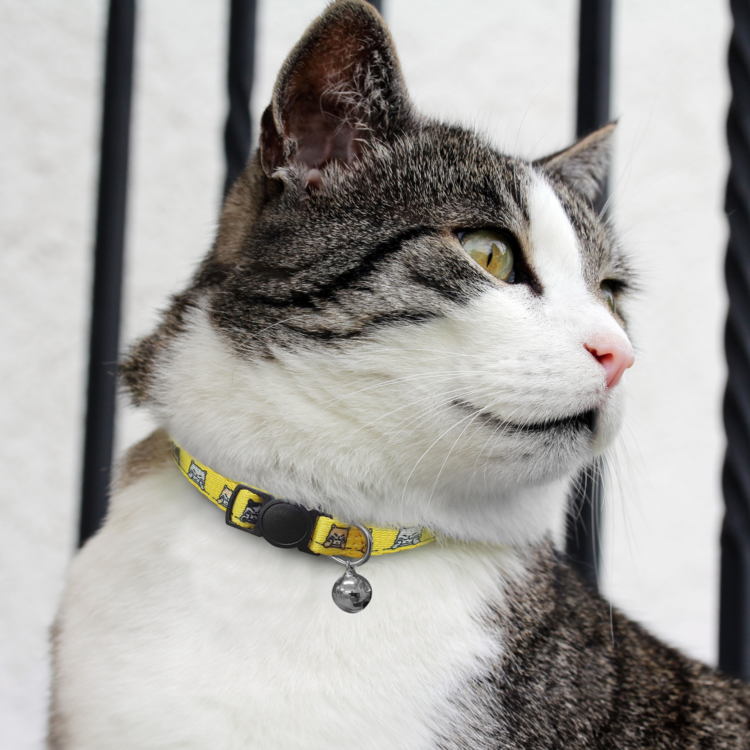 Amigo Cat Collar – Image 6