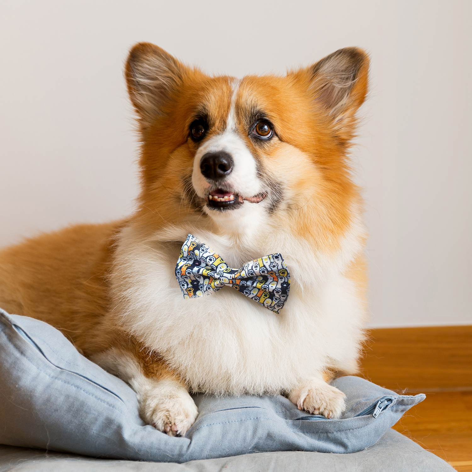 Amigo Pet Bow Tie – Image 4
