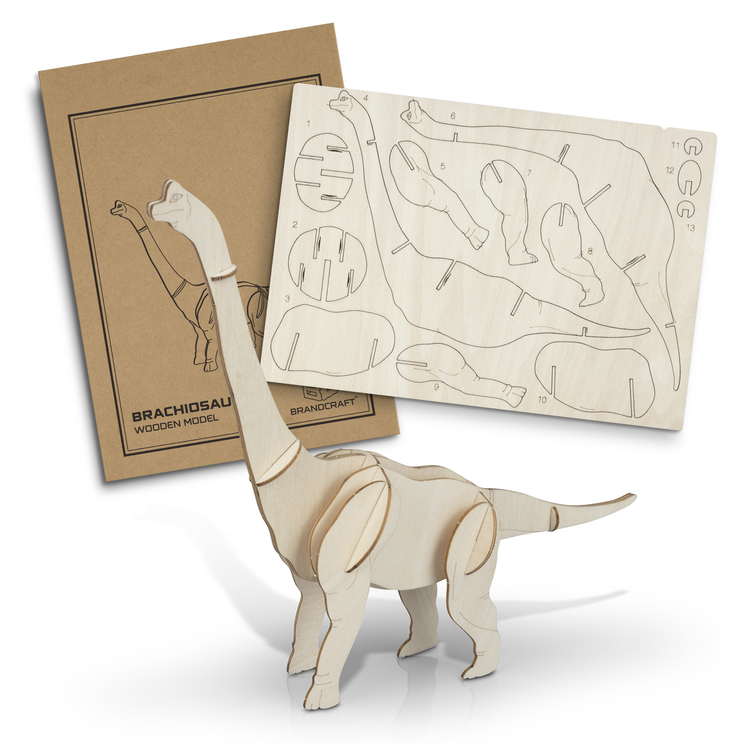 BRANDCRAFT Brachiosaurus Wooden Model – Image 2