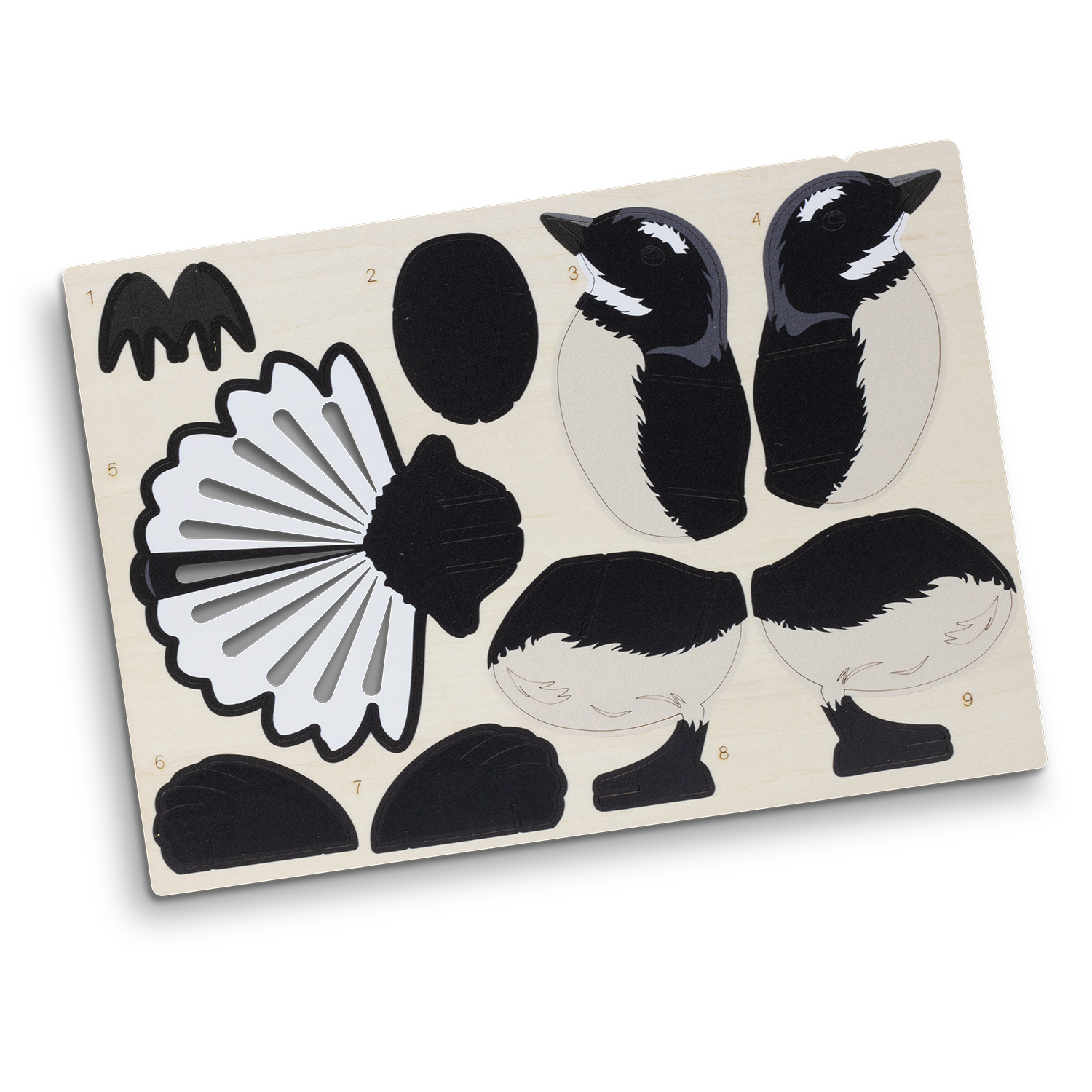 BRANDCRAFT Fantail Wooden Model – Image 6