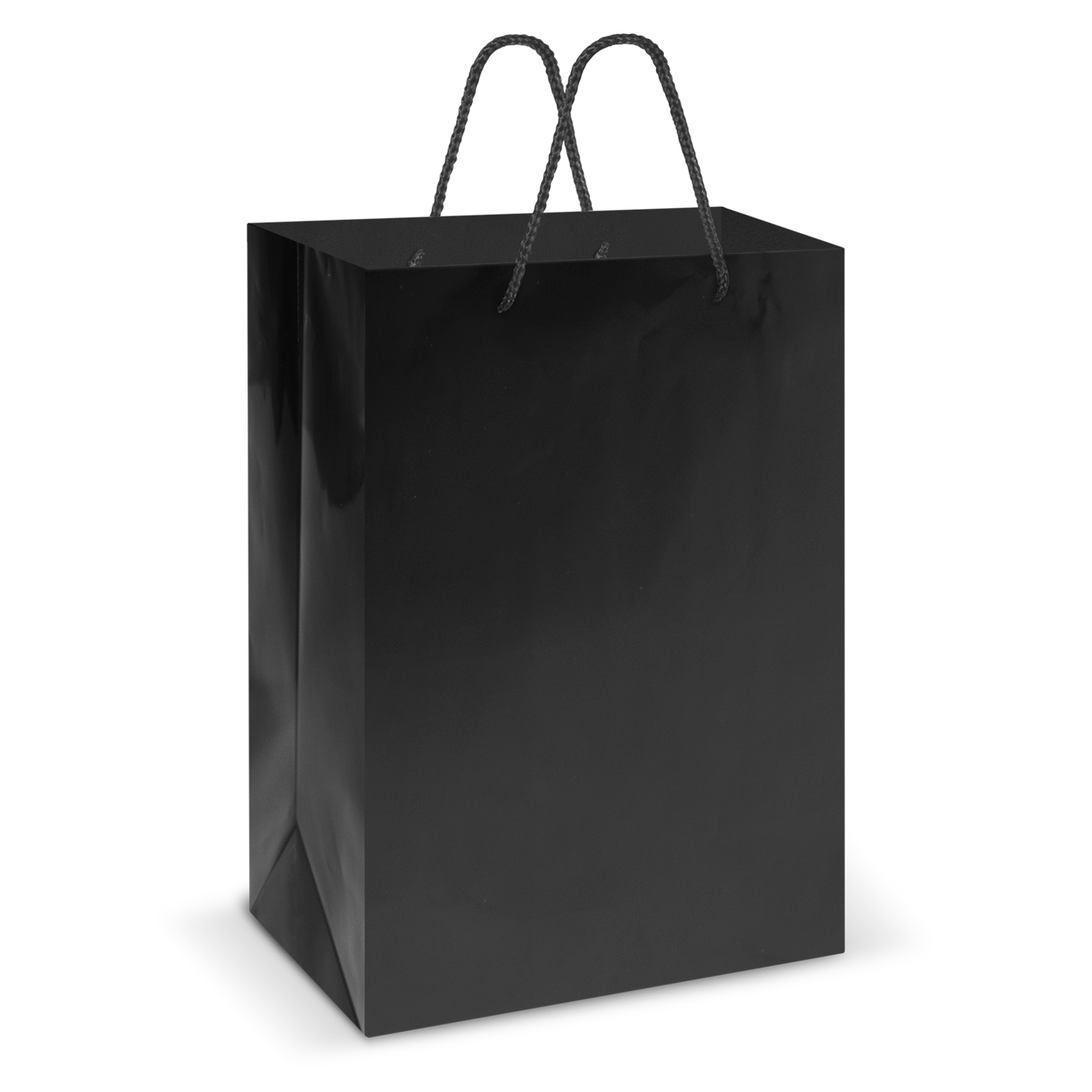 Laminated Carry Bag - Large – Image 3