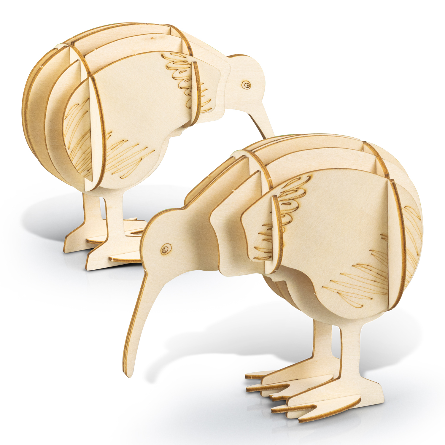 BRANDCRAFT Kiwi Wooden Model – Image 3