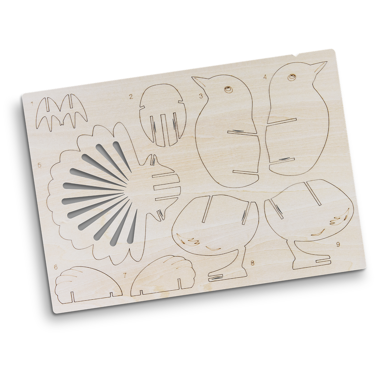 BRANDCRAFT Fantail Wooden Model – Image 4