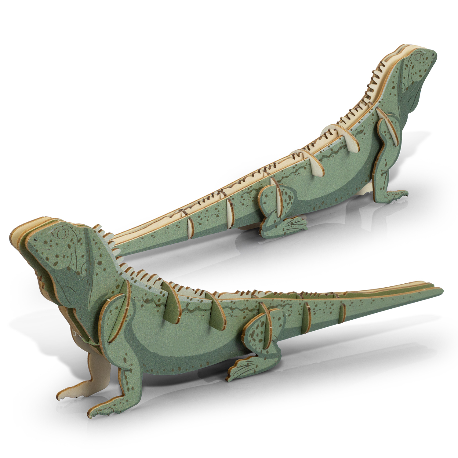 BRANDCRAFT Tuatara Wooden Model – Image 5