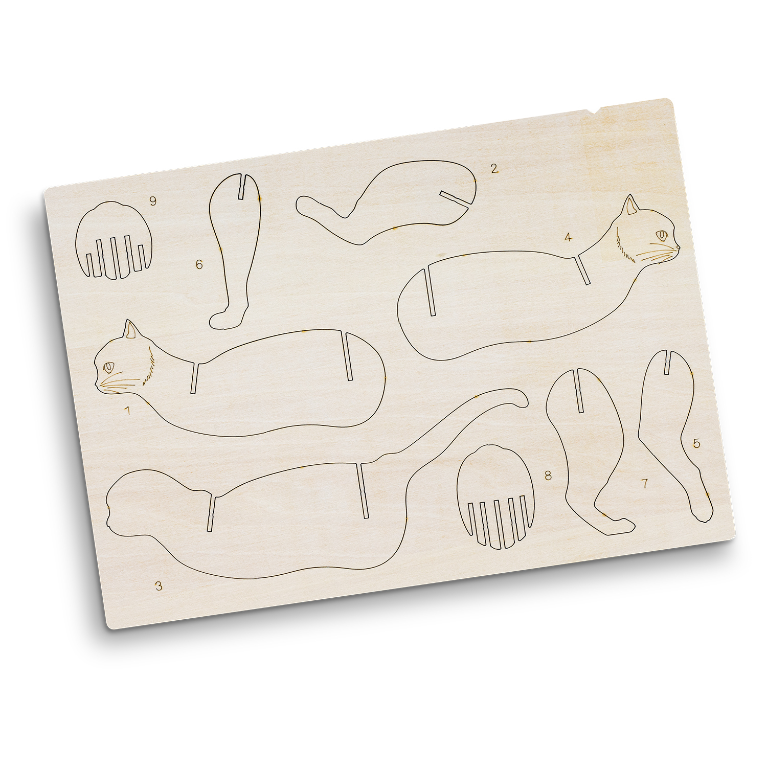 BRANDCRAFT Cat Wooden Model – Image 4