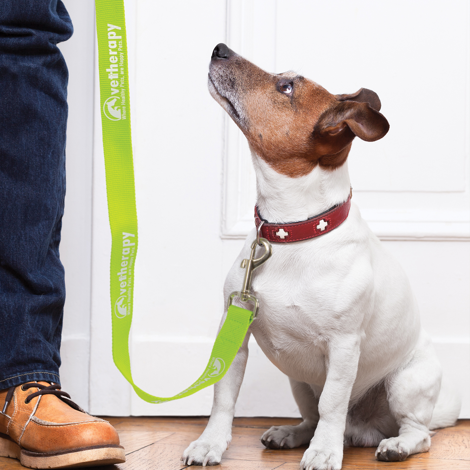 Trek Dog Leash – Image 14