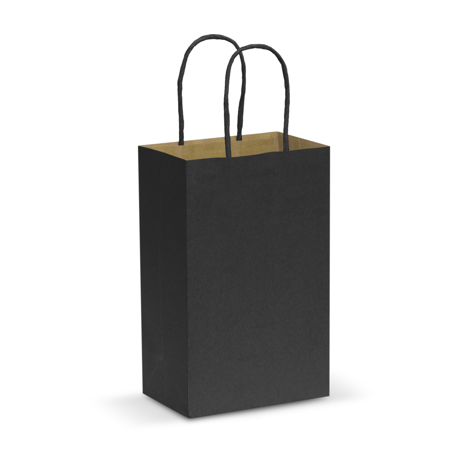 Paper Carry Bag - Small – Image 5