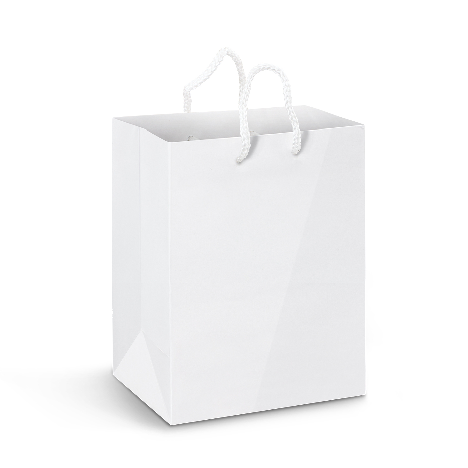 Large Laminated Paper Carry Bag - Full Colour – Image 2