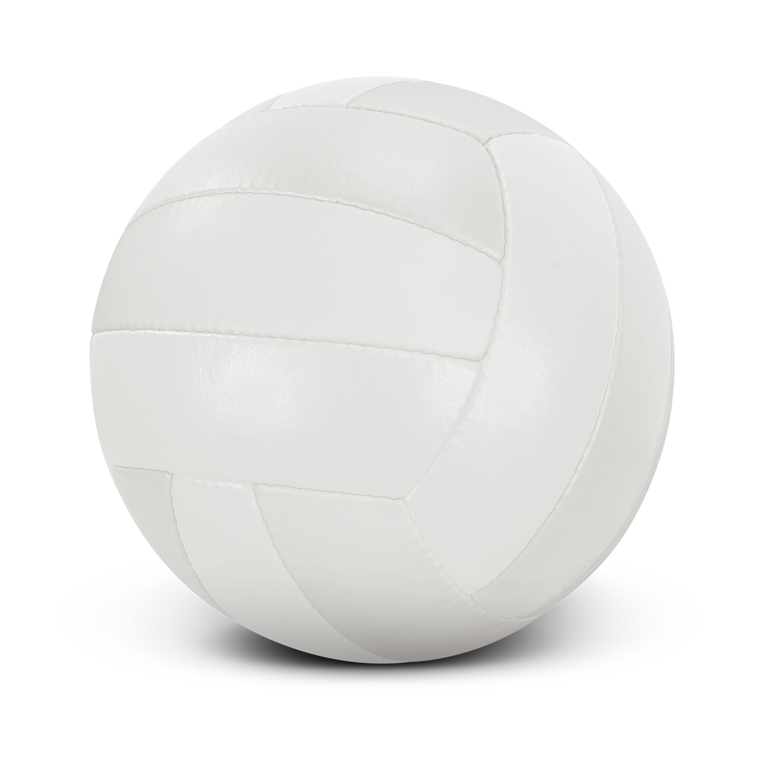 Volleyball Pro – Image 2