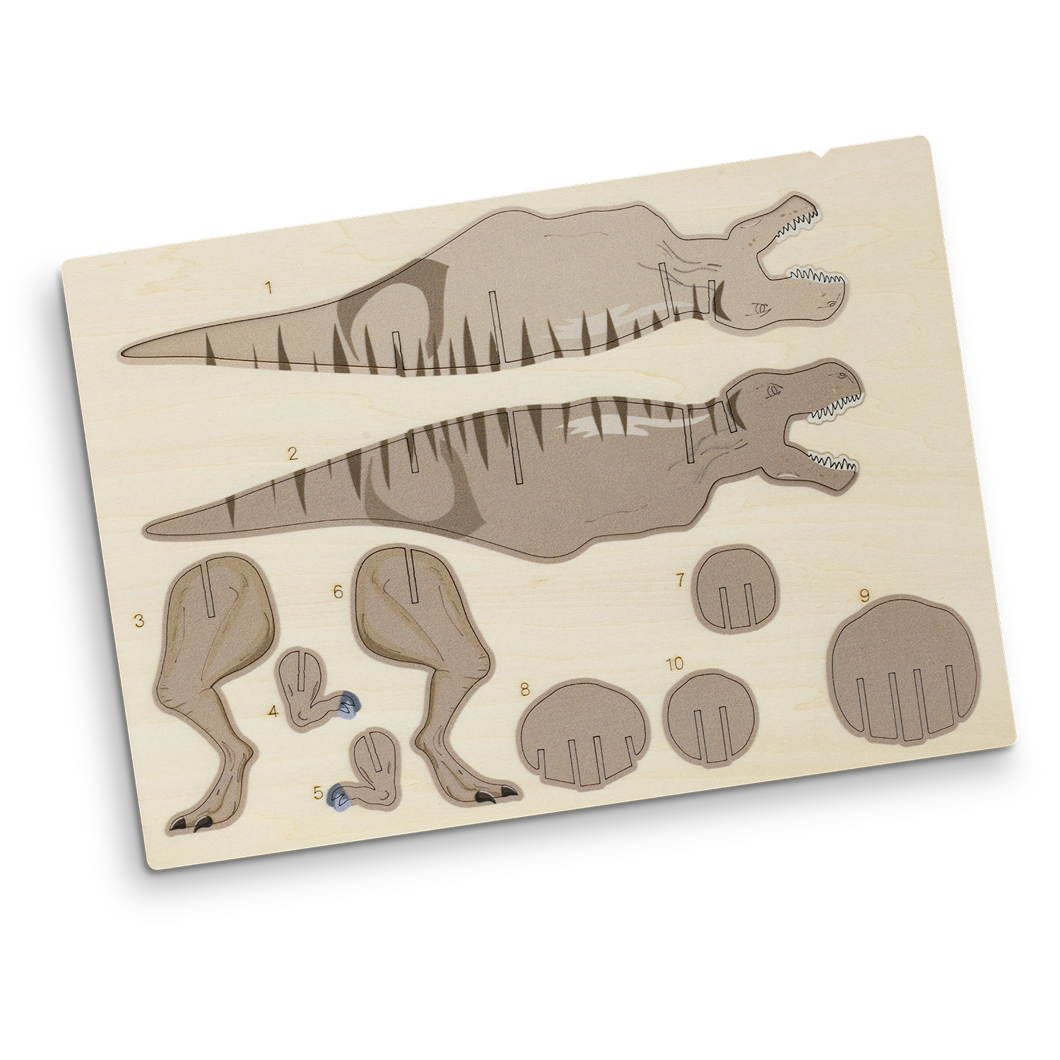 BRANDCRAFT Tyrannosaurus Rex Wooden Model – Image 6
