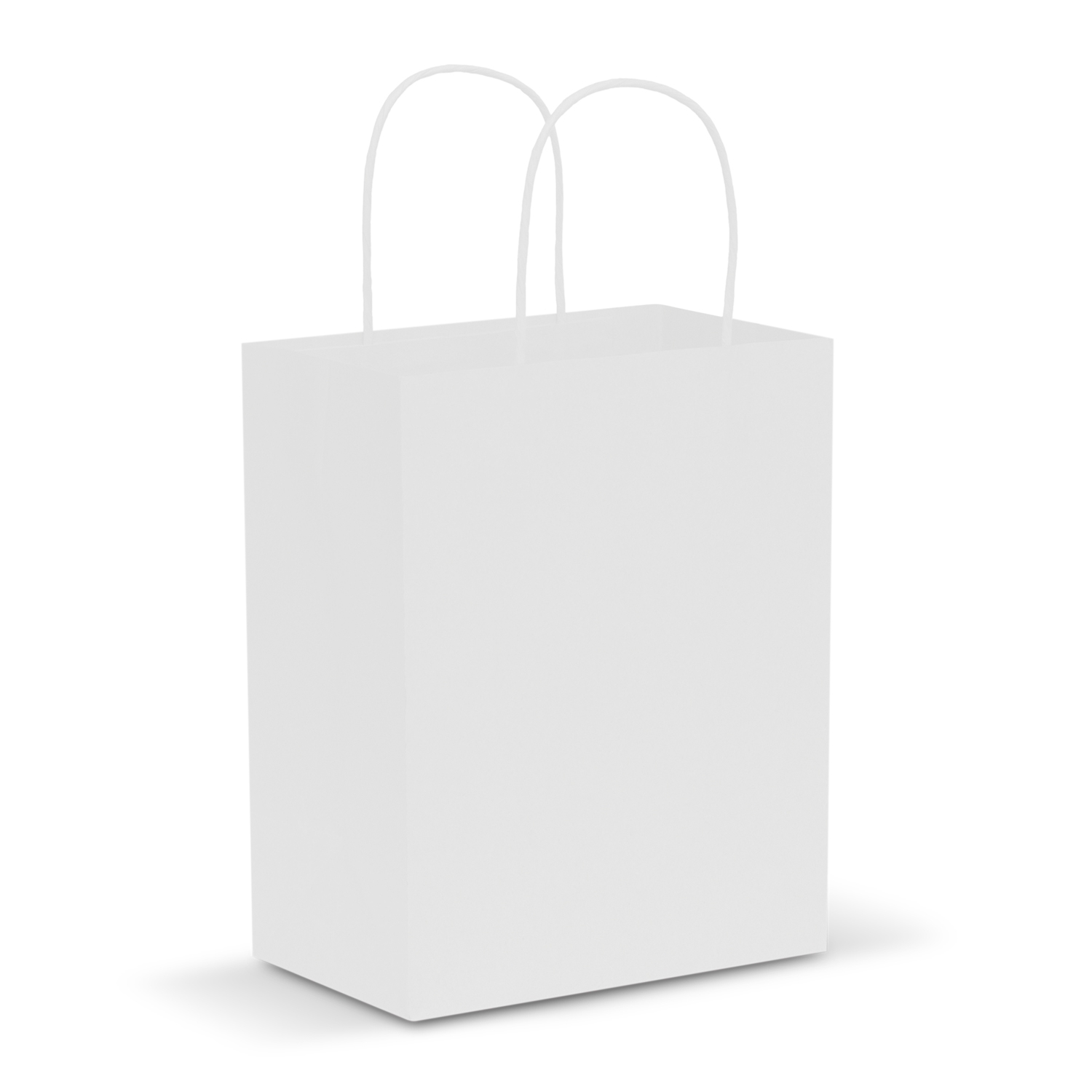 Paper Carry Bag - Medium – Image 4