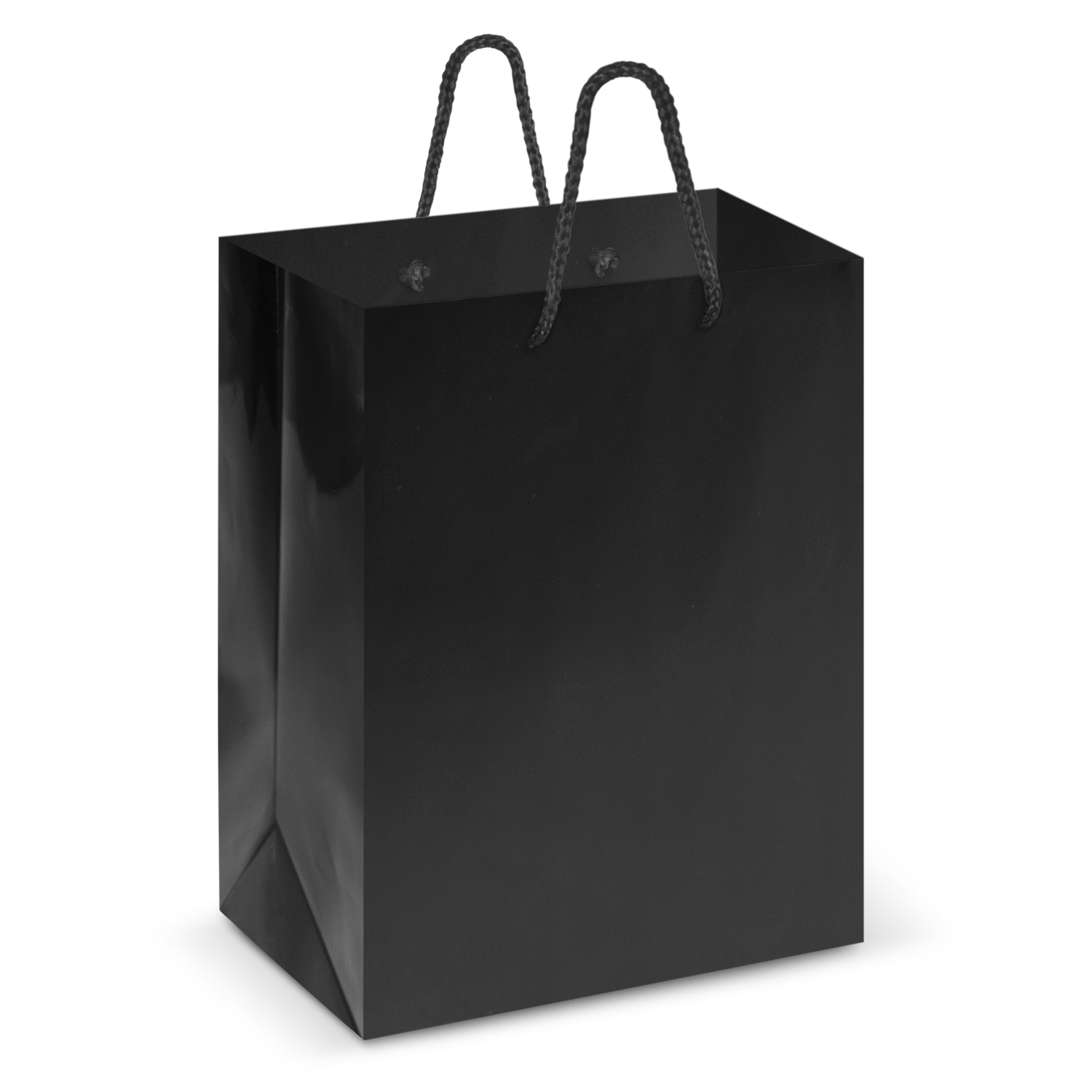 Laminated Carry Bag - Medium – Image 3