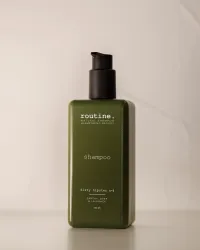 Dirty Hipster NO. 4 Normalizing Shampoo - 350 ML - Routine – Image 1