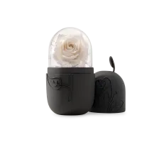 Glow-Sculpt Facial Roller | Cryotherapy Massage. – Image 4