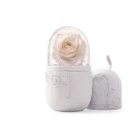 Glow-Sculpt Facial Roller | Cryotherapy Massage. – Image 1