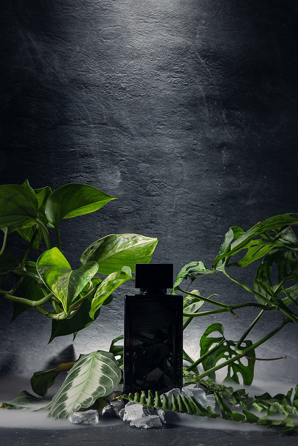 Black – Image 4