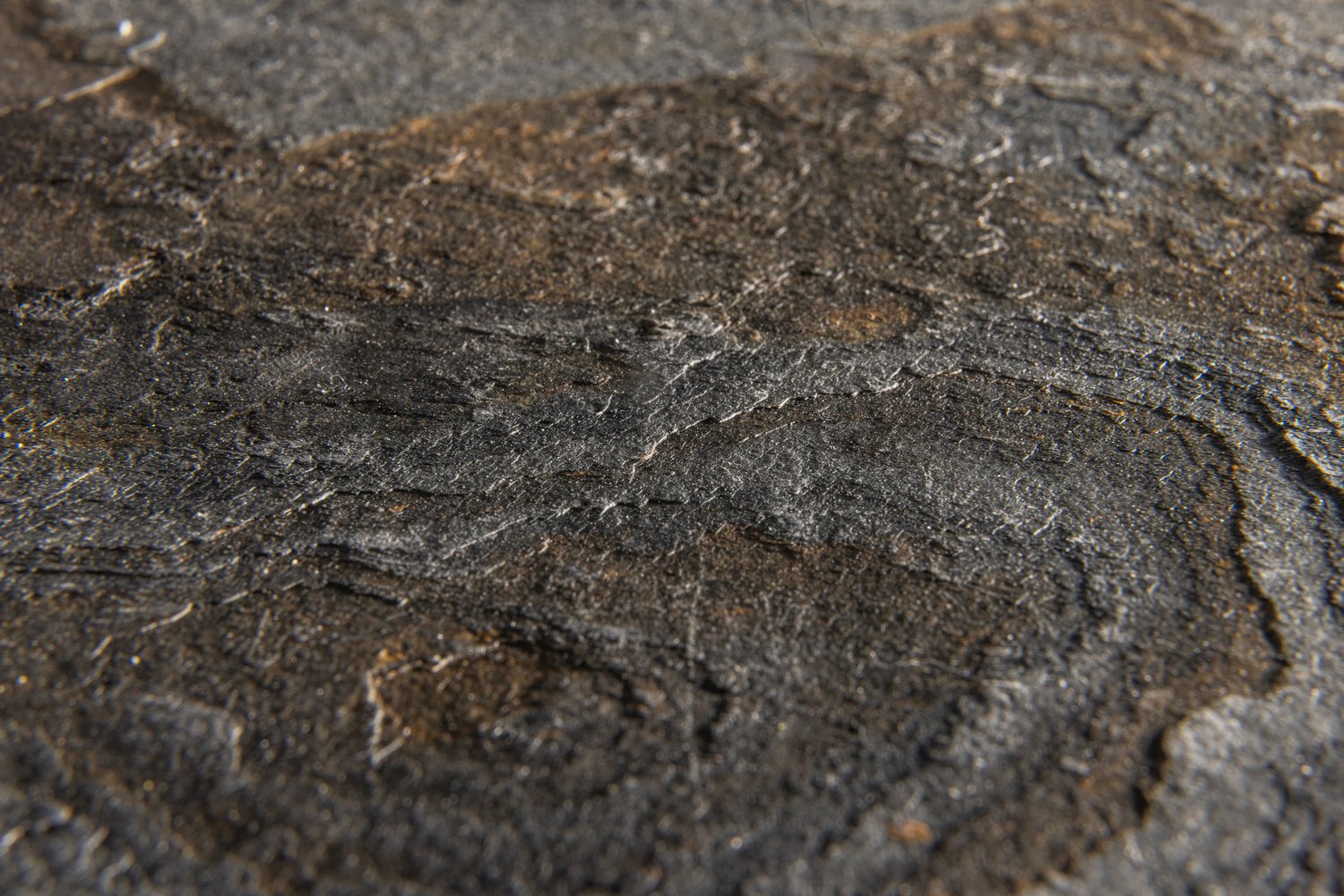 Autumn Rustic – Image 2