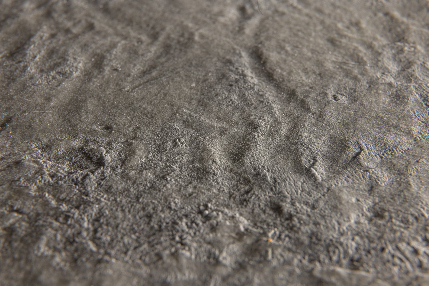Autumn White – Image 2