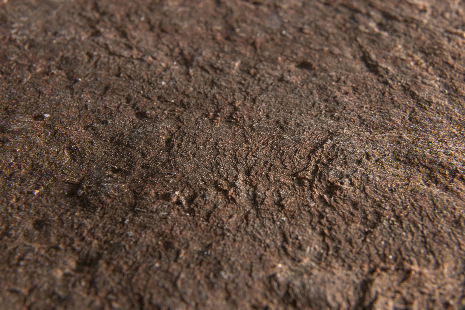Copper – Image 2