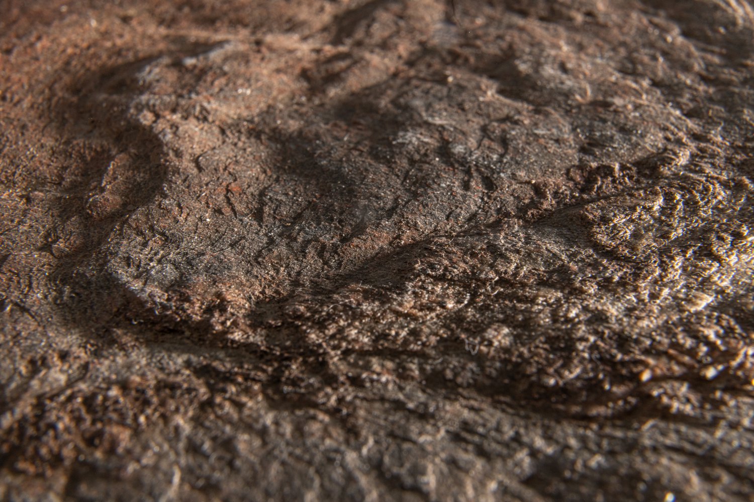 Copper – Image 3