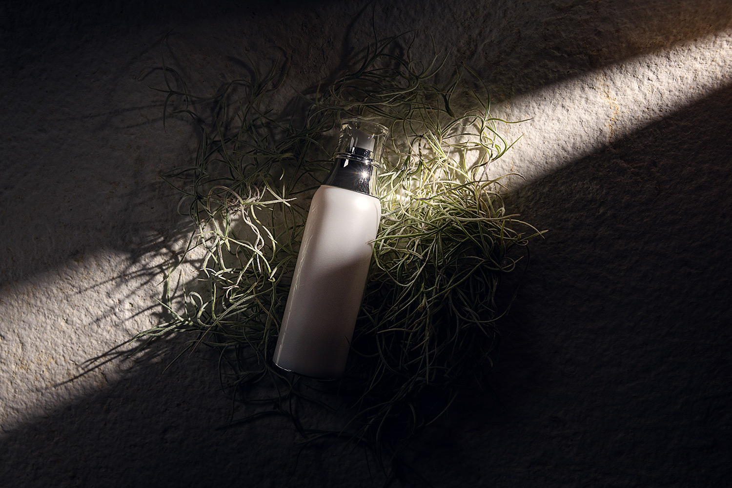 Birch G – Image 3