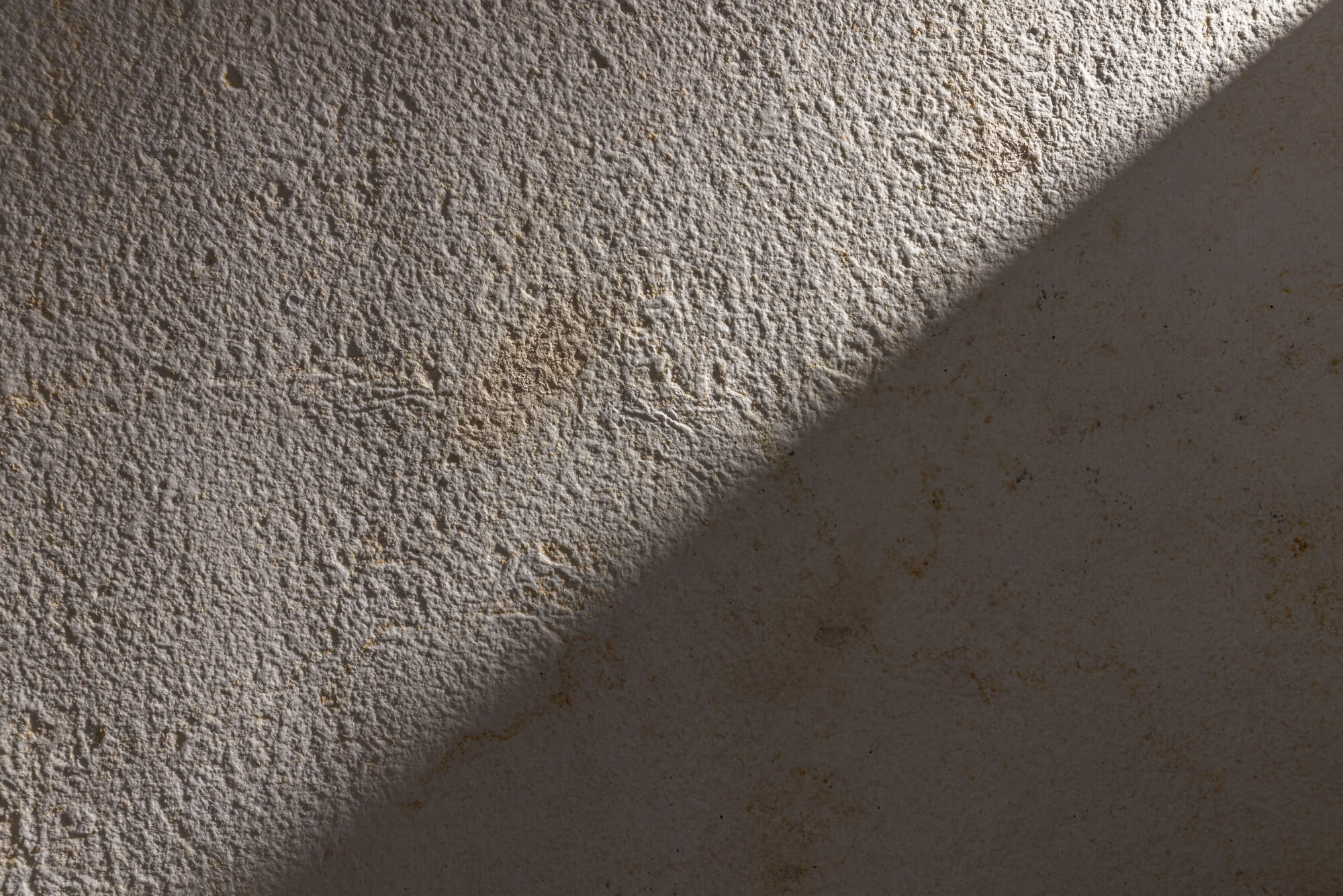 Birch G – Image 1