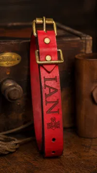 The Ian Field Collar – Image 7
