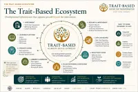 Start from Strength Organizational Launch License – Image 1