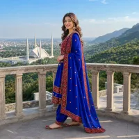 Royal Blue Festive Embroidered Dress by Zariya – Image 4