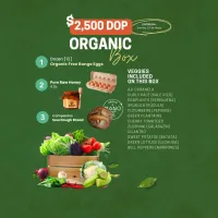Organic Box – Image 1