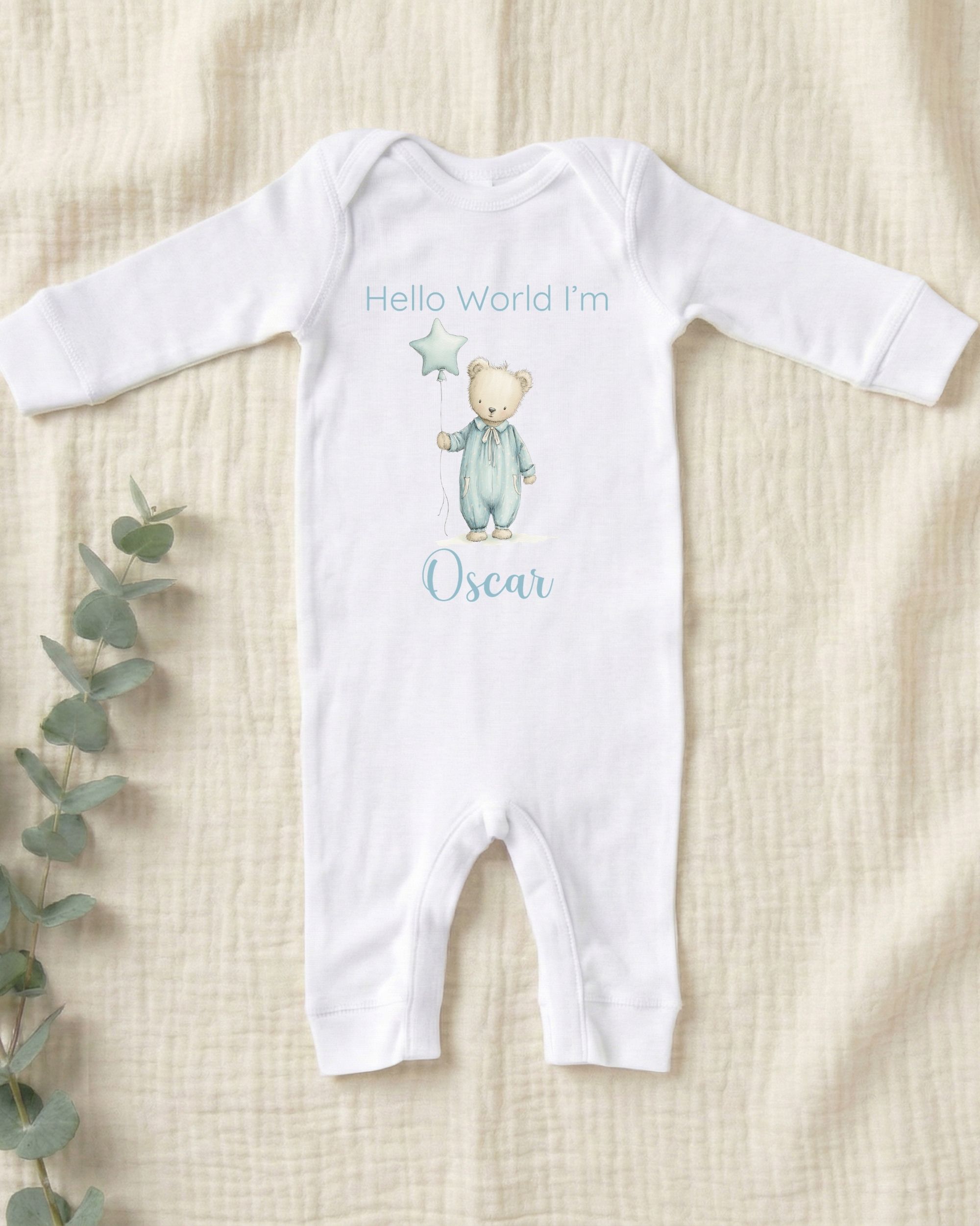 'Hello World' Starry Bear Arrival – Image 3