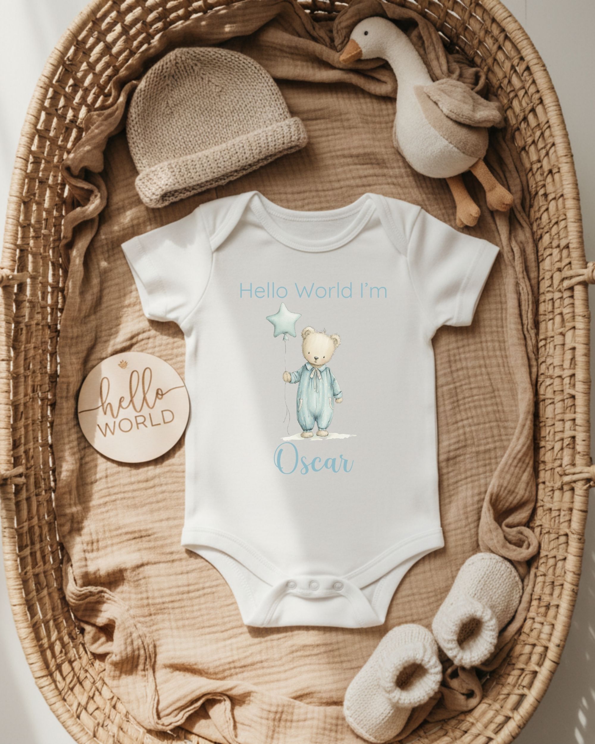 'Hello World' Starry Bear Arrival – Image 4