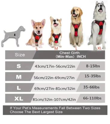 Premium Adjustable Harness – Image 6