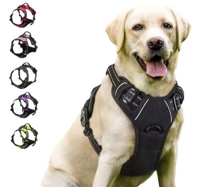 Premium Adjustable Harness – Image 1