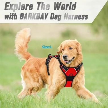 Premium Adjustable Harness – Image 5