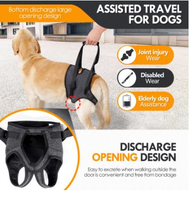 Orthopedic Dog Bed – Image 3