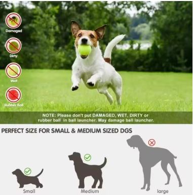 Automatic Ball Launcher – Image 4