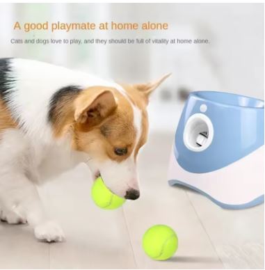 Automatic Ball Launcher – Image 9