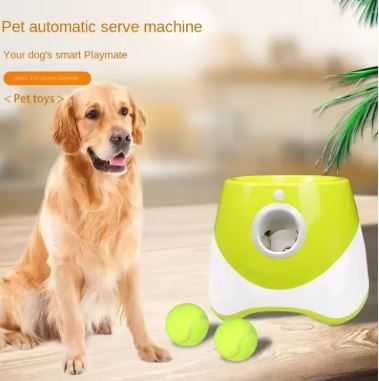 Automatic Ball Launcher – Image 3
