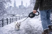 Warm Walks Smart Leash — Heated Retractable Dog Leash with Power Bank, USB-C Charging & 16ft Reflective Lead – Image 3