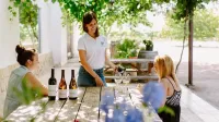 Vendimia & Beyond: A Day of Bobal, Harvest & Wine in Requena – Image 2